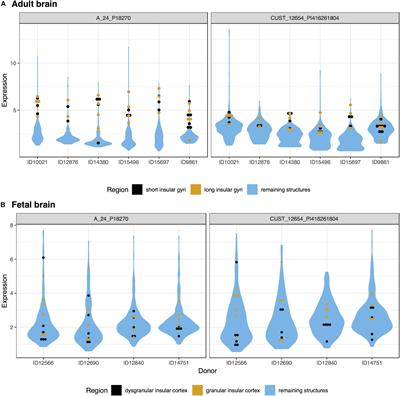 Transcriptomic Characterization of the Human Insular Cortex and Claustrum